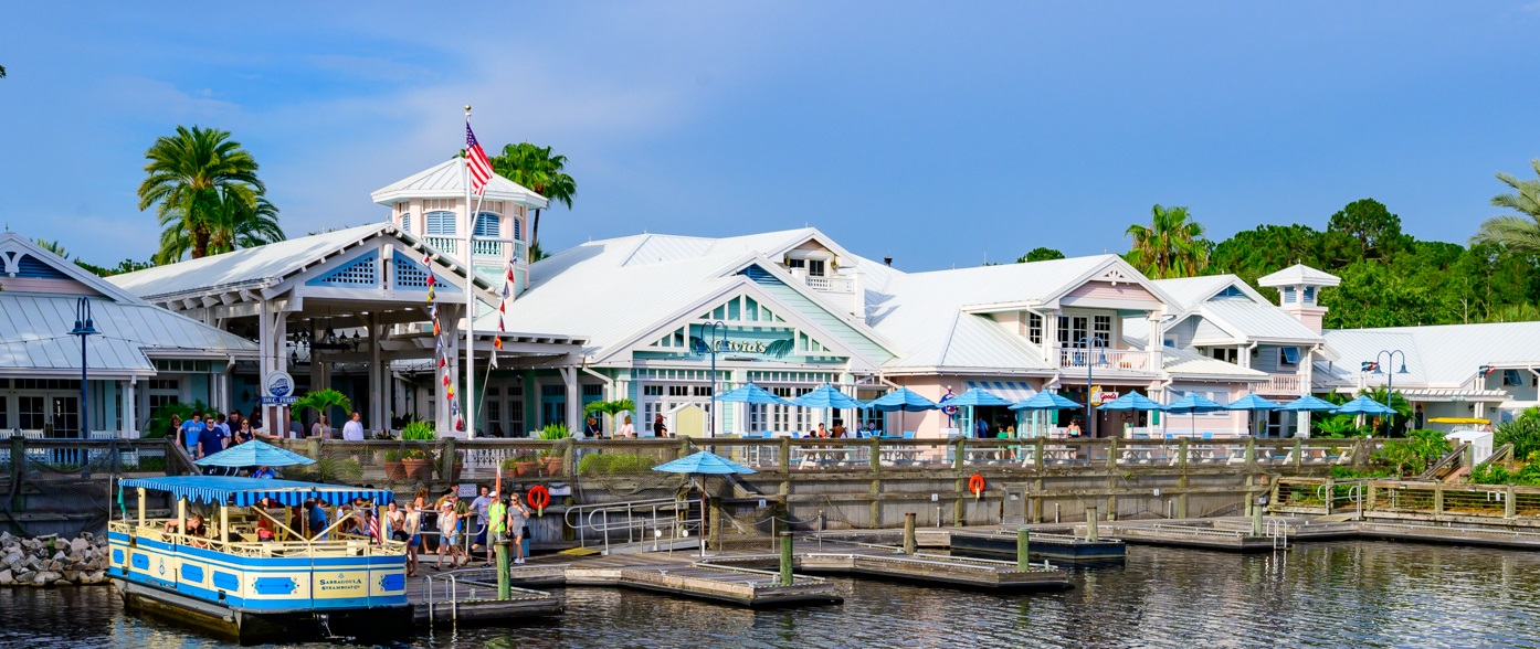 DVC Grand Villa Rentals: Are They Worth the Splurge?